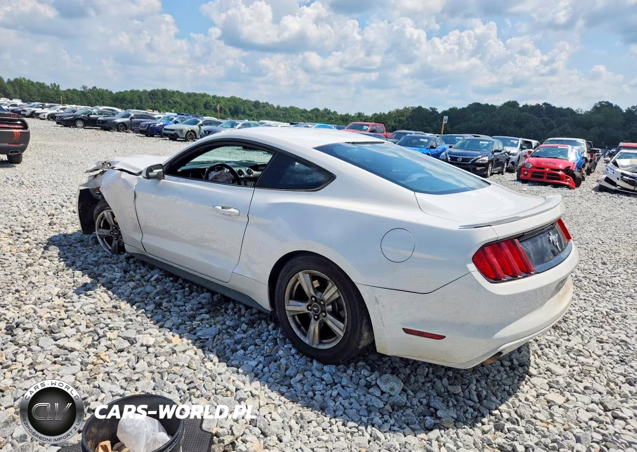 2017 Ford Mustang Base VIN:1FA6P8AM5H5207896 - 2
