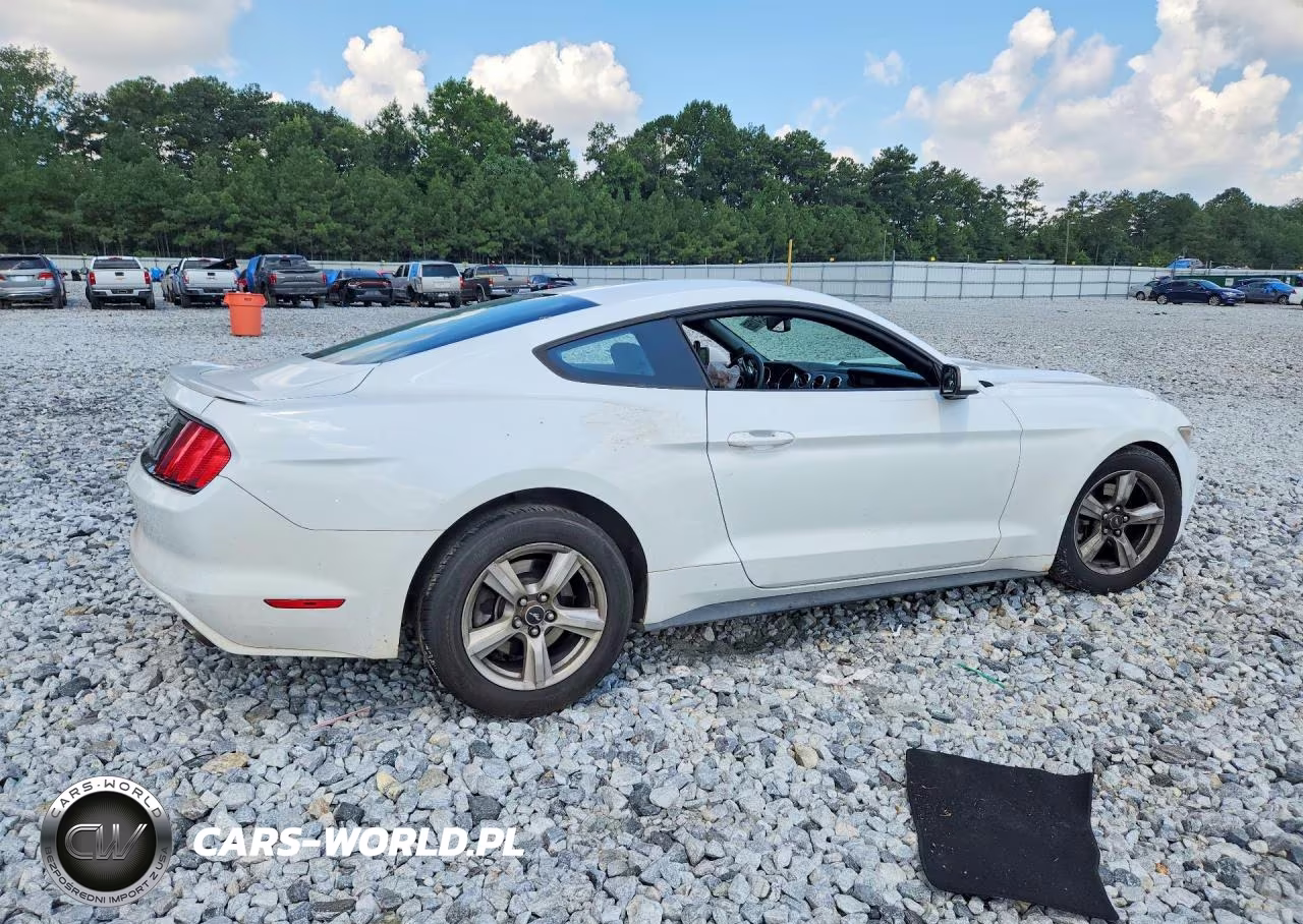 2017 Ford Mustang Base VIN:1FA6P8AM5H5207896 - 3