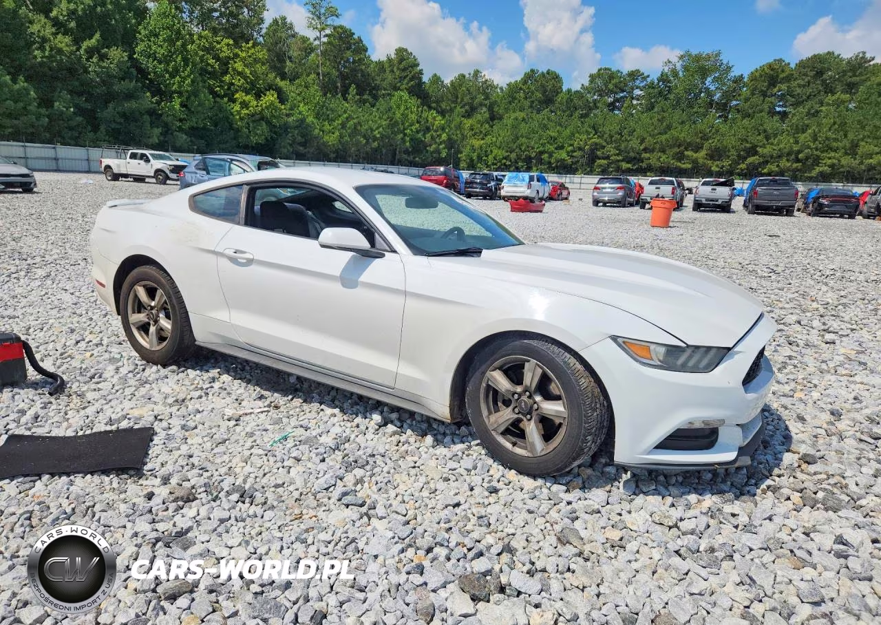2017 Ford Mustang Base VIN:1FA6P8AM5H5207896 - 4
