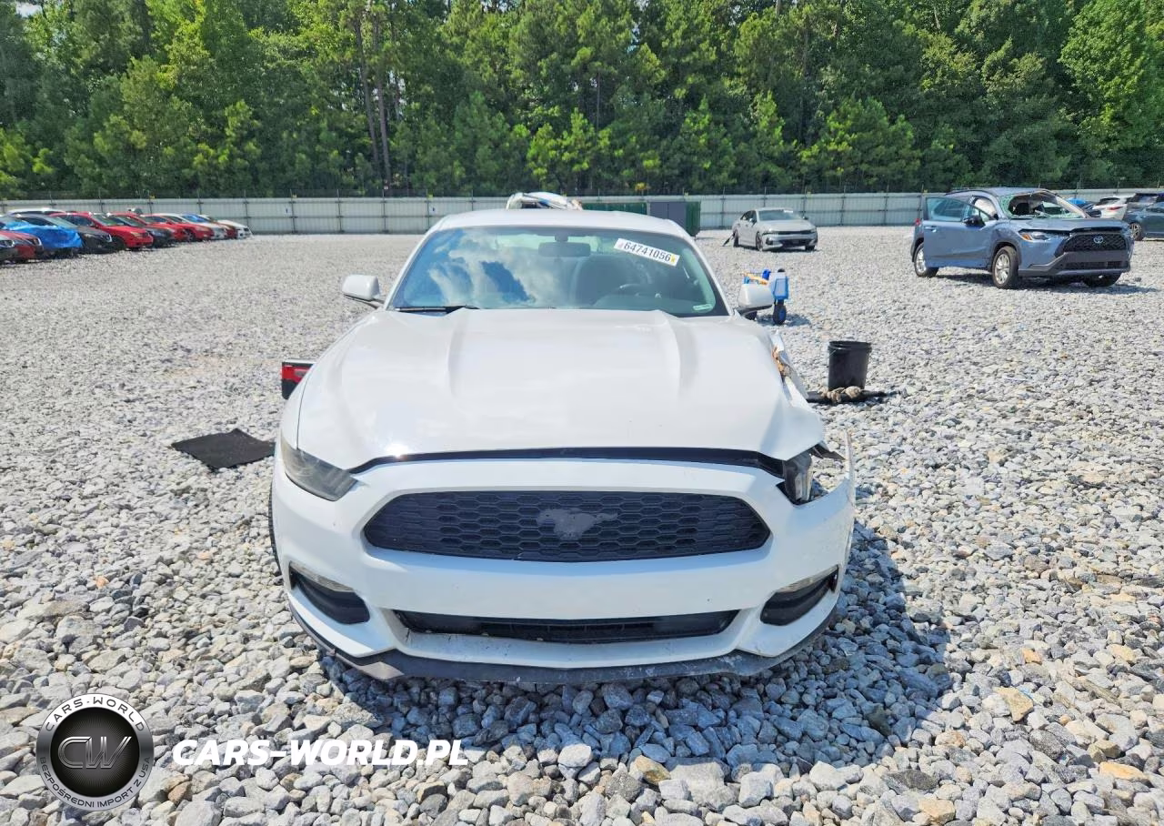 2017 Ford Mustang Base VIN:1FA6P8AM5H5207896 - 5