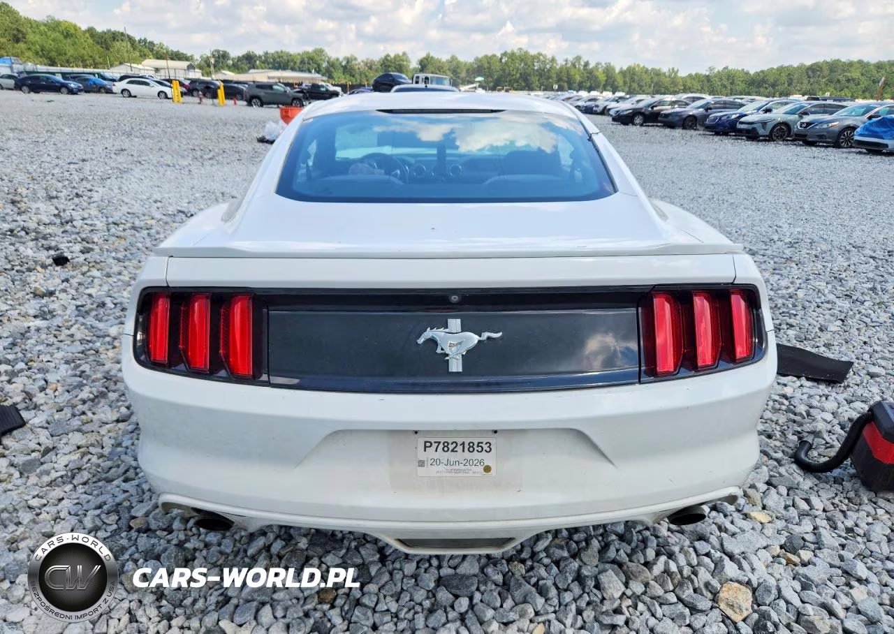 2017 Ford Mustang Base VIN:1FA6P8AM5H5207896 - 6