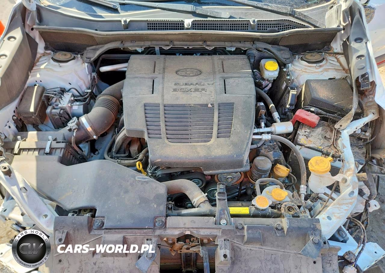 2024 Subaru Forester Sport VIN:JF2SKAGC5RH487317 - 11