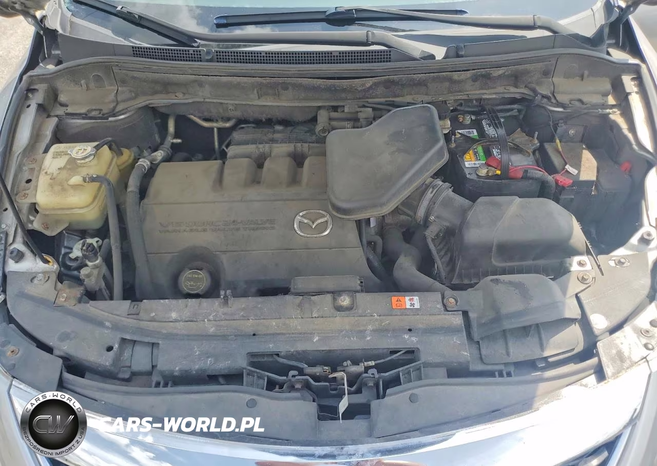 2012 Mazda Cx-9 VIN:JM3TB2DV9C0355303 - 12