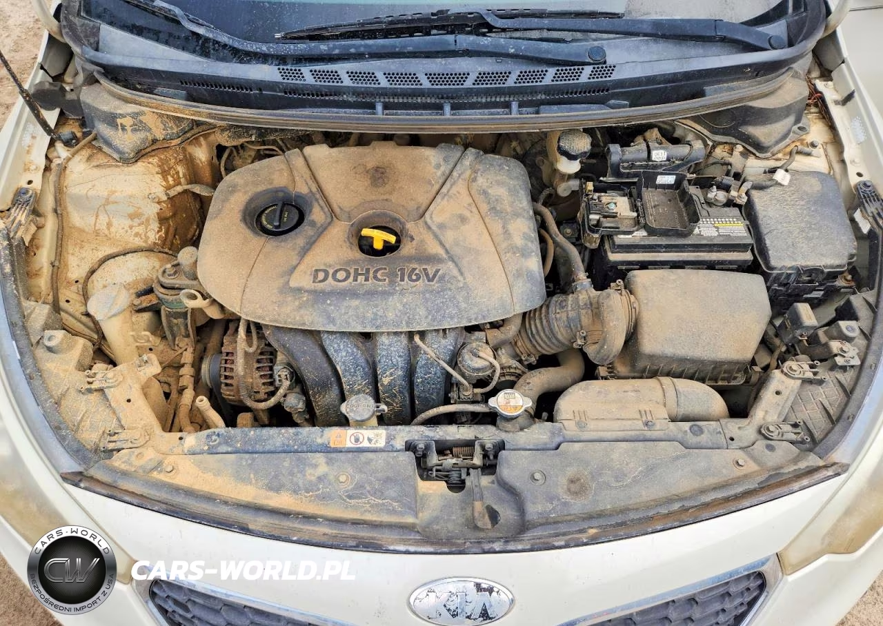 2014 Kia Forte Lx VIN:KNAFK4A69E5086981 - 11