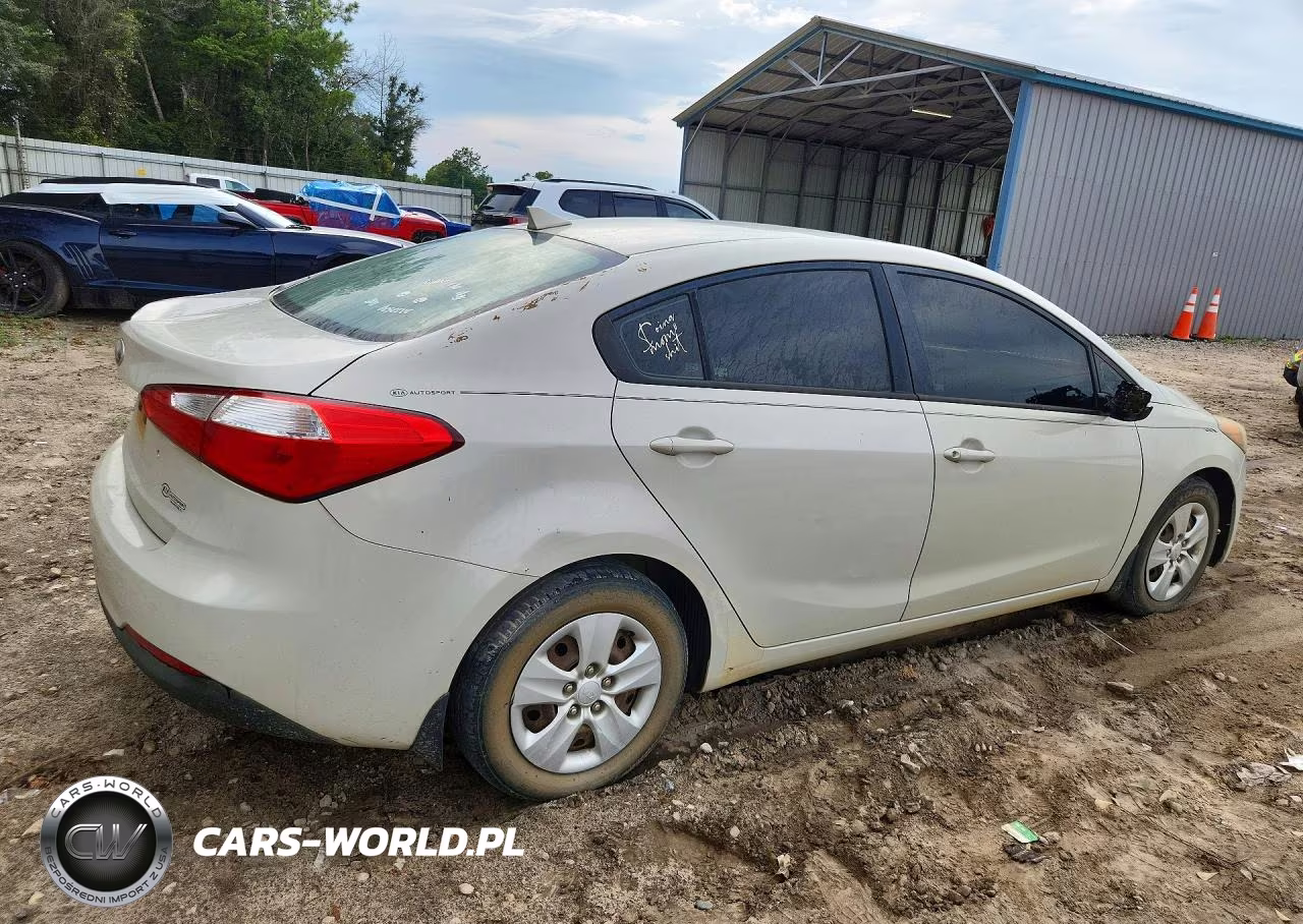 2014 Kia Forte Lx VIN:KNAFK4A69E5086981 - 3