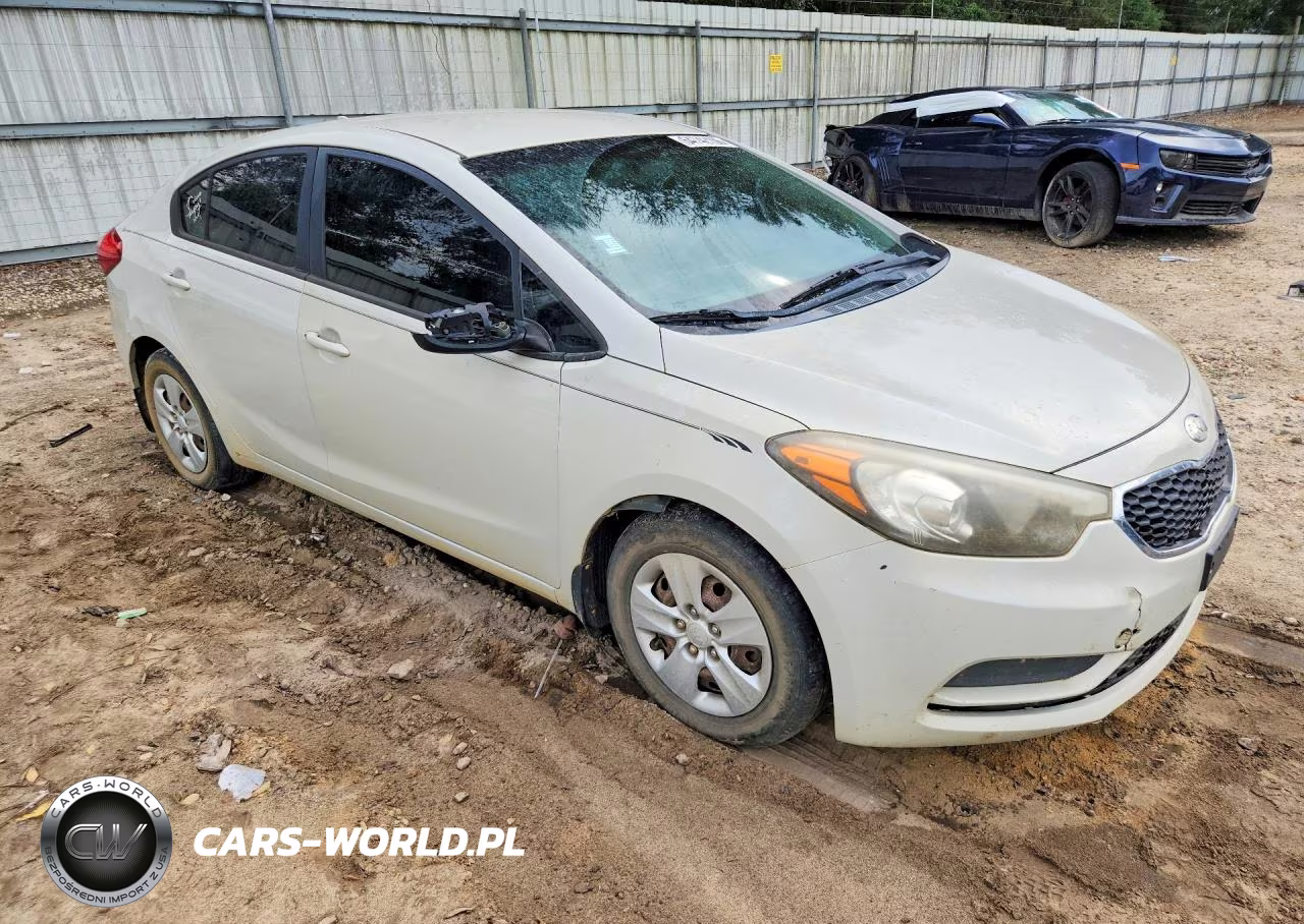 2014 Kia Forte Lx VIN:KNAFK4A69E5086981 - 4
