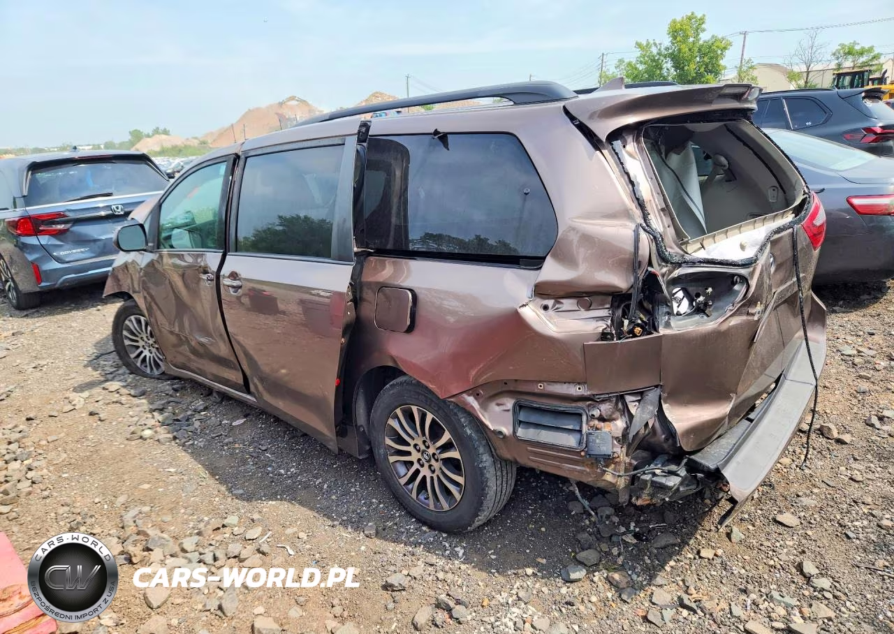2019 Toyota Sienna Xle 8-Passenger VIN:5TDYZ3DC9KS989138 - 2