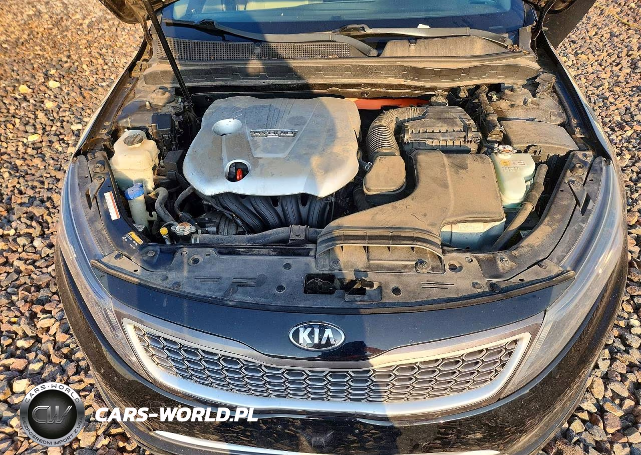 2015 Kia Optima Hybrid VIN:KNAGM4AD1F5084351 - 11