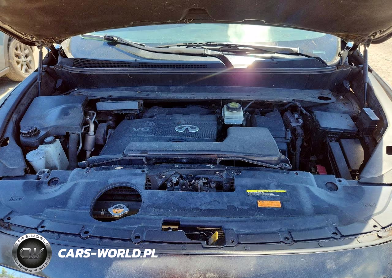 2019 Infiniti Qx60 Pure VIN:5N1DL0MN1KC568883 - 12