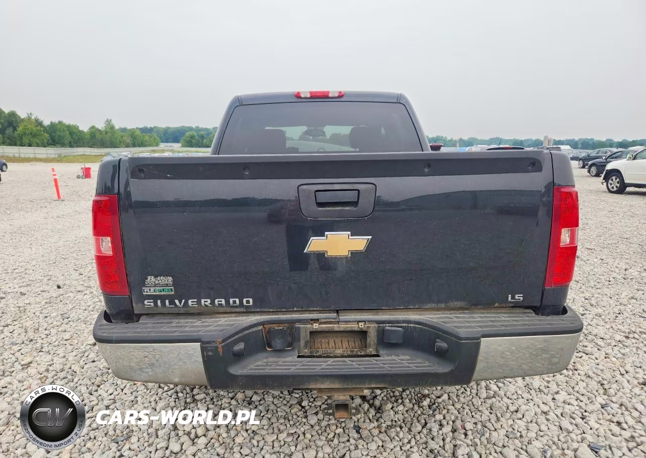 2010 Chevrolet Silverado K1500 Ls VIN:3GCRKREA7AG237797 - 6