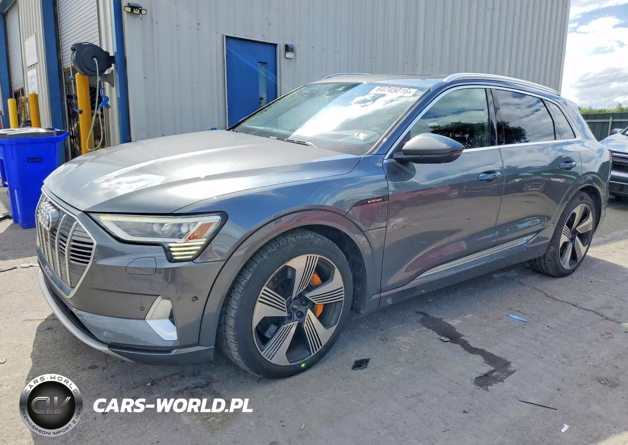 2019 Audi E-Tron Prestige – zdjęcie 1 z 13