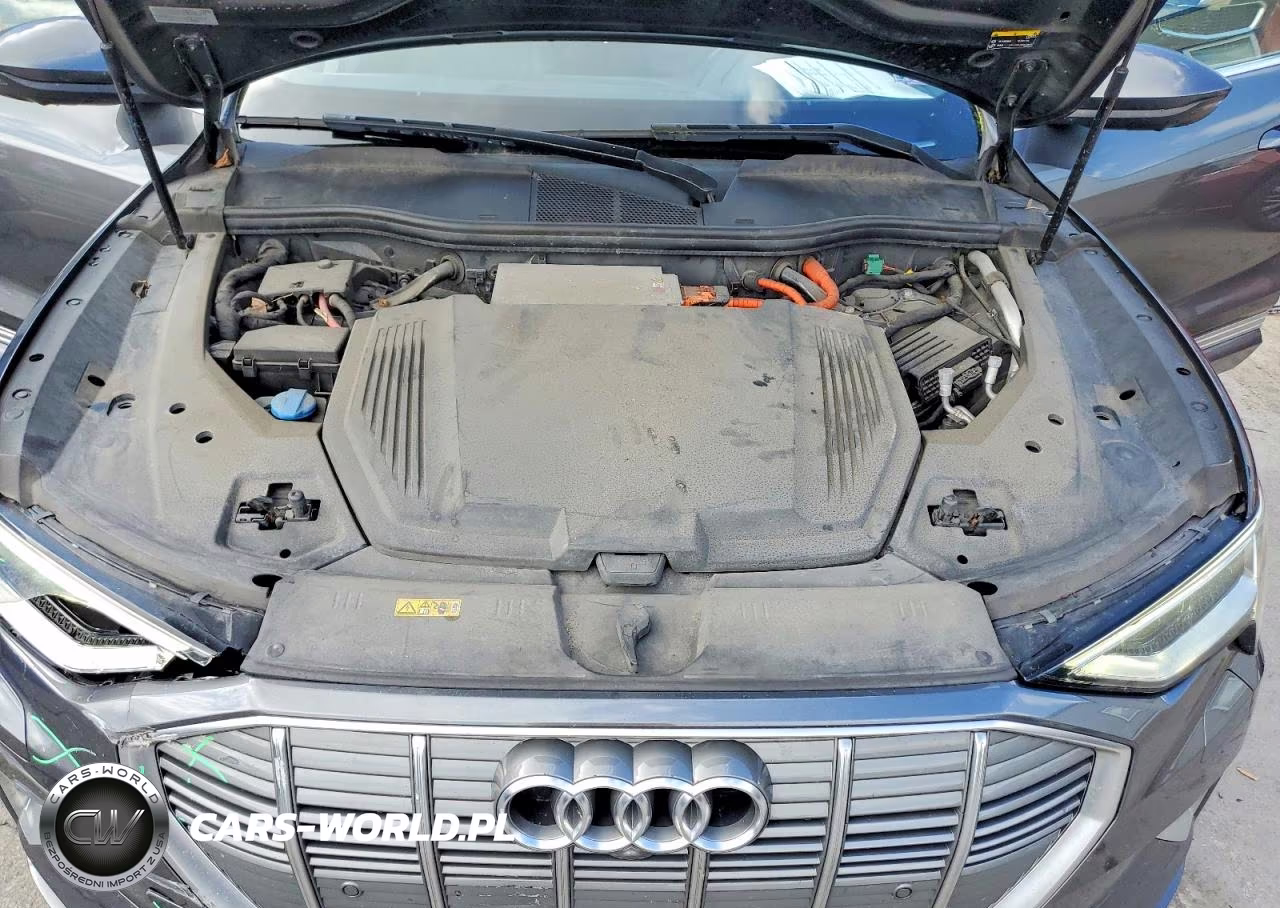 2019 Audi E-Tron Prestige VIN:WA1VAAGE6KB007501 - 12