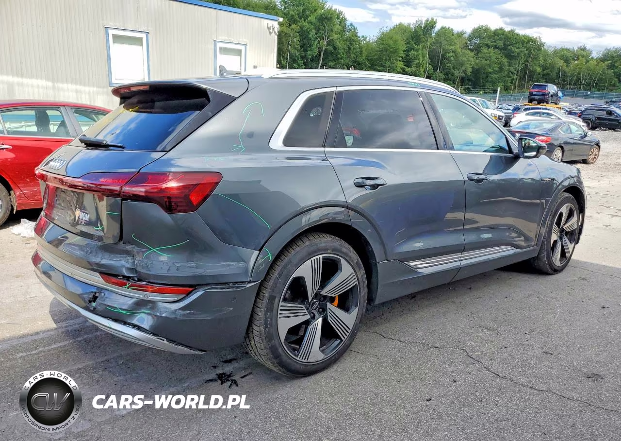 2019 Audi E-Tron Prestige VIN:WA1VAAGE6KB007501 - 3