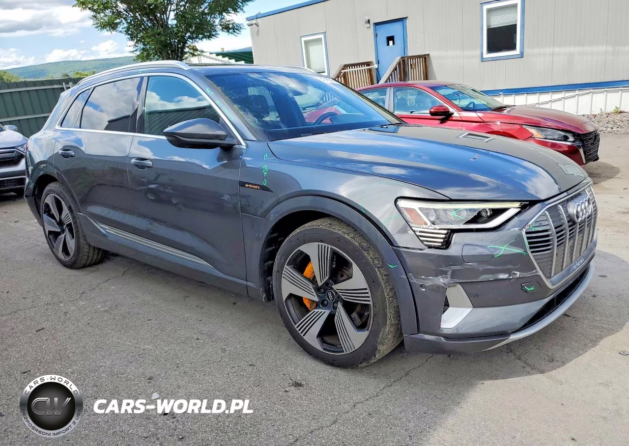 2019 Audi E-Tron Prestige VIN:WA1VAAGE6KB007501 - 4