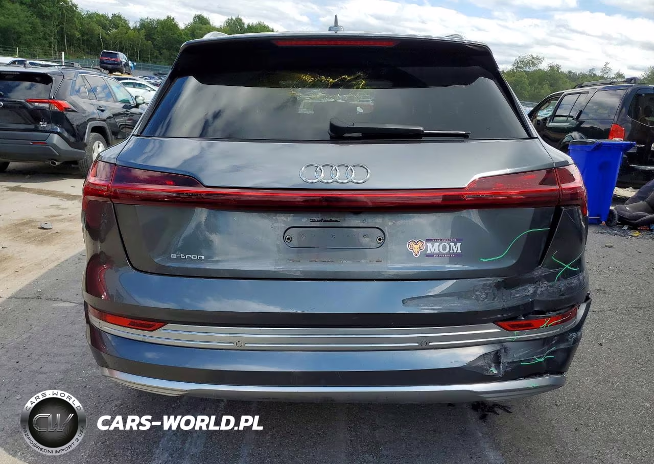 2019 Audi E-Tron Prestige VIN:WA1VAAGE6KB007501 - 6