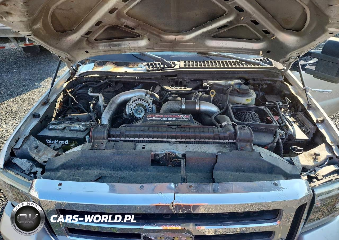 2006 Ford F250 Super Duty VIN:1FTSW21P56EC61070 - 11