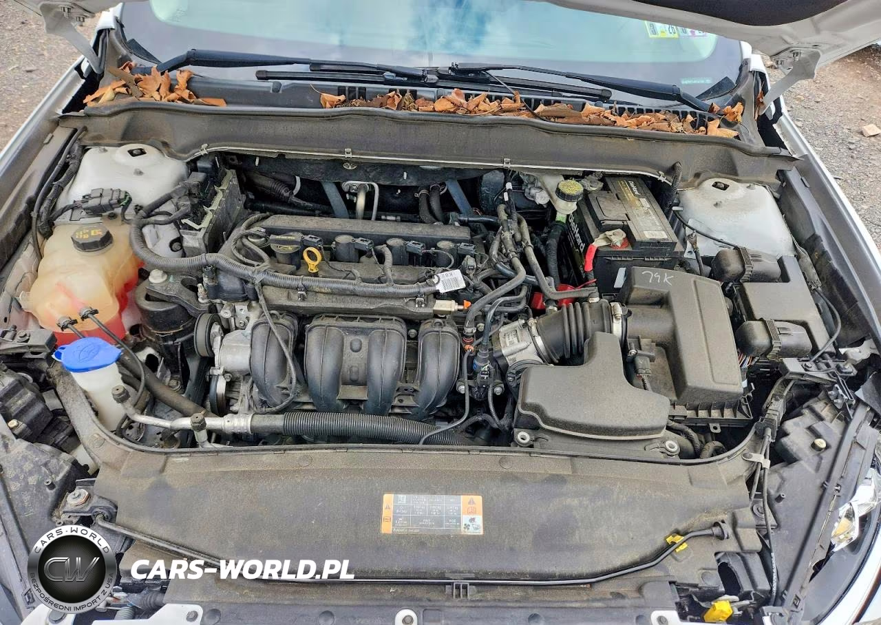 FORD FUSION S VIN:3FA6P0G7XDR167292 - 11