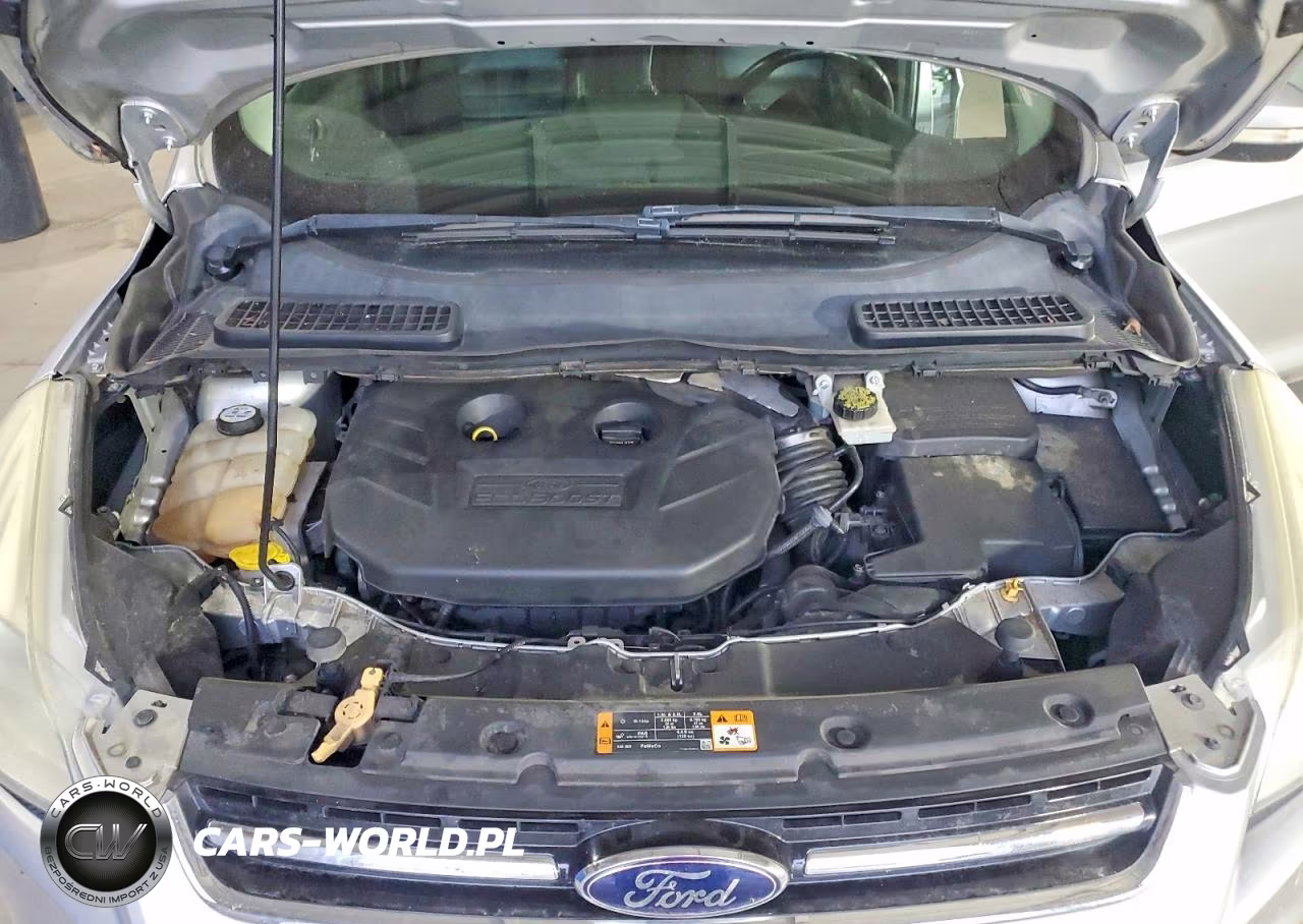 2013 Ford Escape Sel VIN:1FMCU9H94DUA07651 - 12