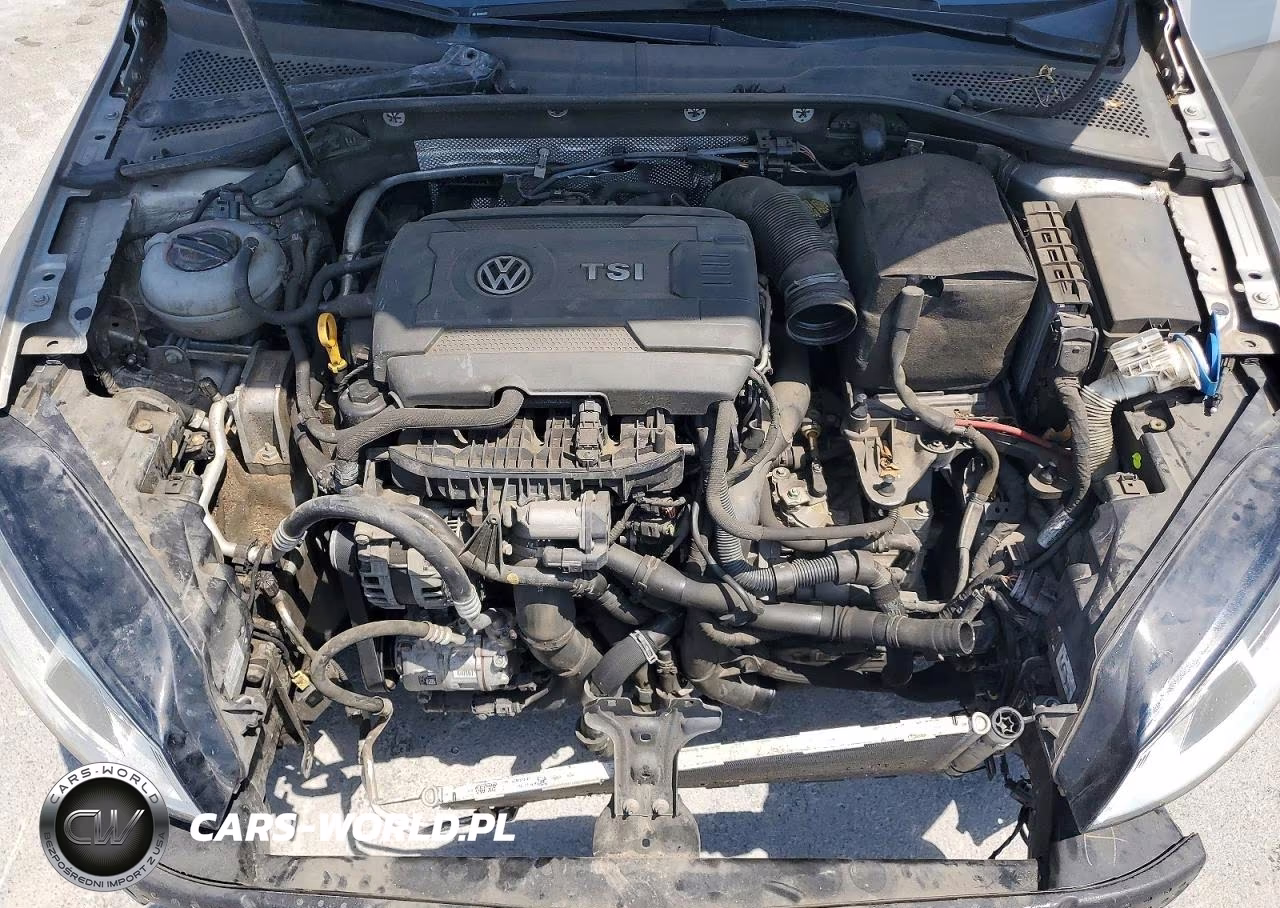 2017 Volkswagen Golf Sportwagen S VIN:3VWC17AUXHM501861 - 11