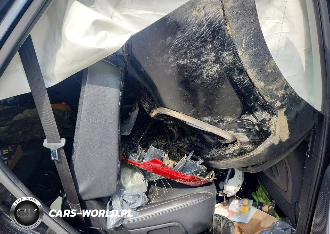2017 Hyundai Santa Fe Limited Ultimate VIN:KM8SRDHF5HU248601 - 11