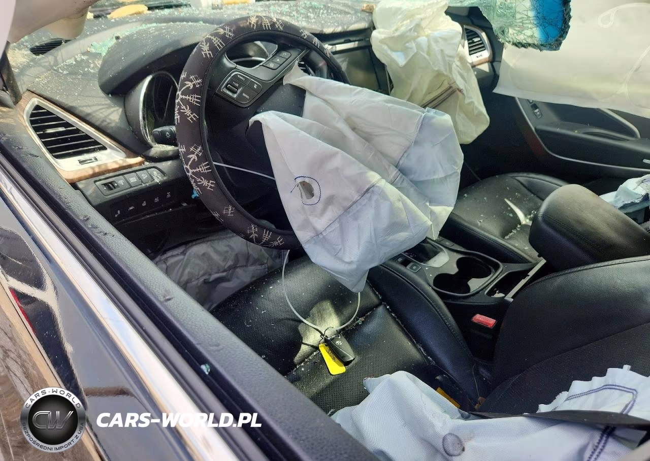 2017 Hyundai Santa Fe Limited Ultimate VIN:KM8SRDHF5HU248601 - 8