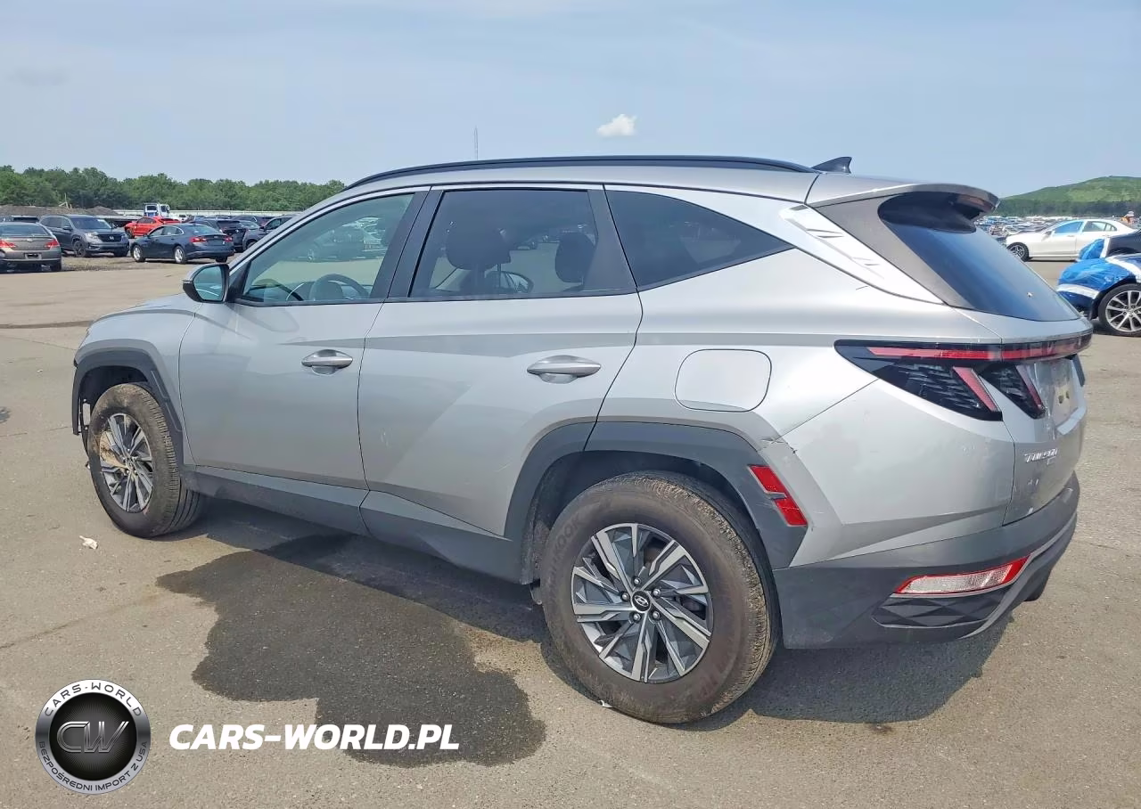 2023 Hyundai Tucson Blue VIN:KM8JBCA10PU107622 - 2