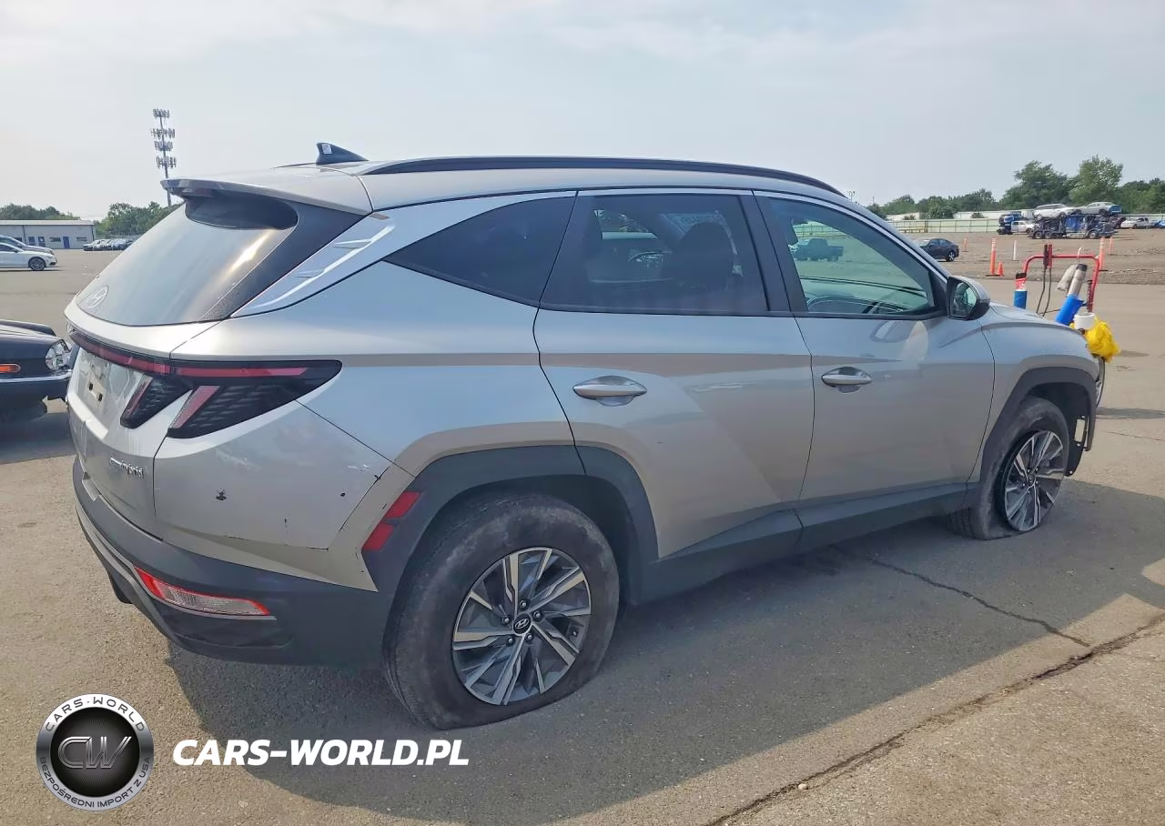 2023 Hyundai Tucson Blue VIN:KM8JBCA10PU107622 - 3