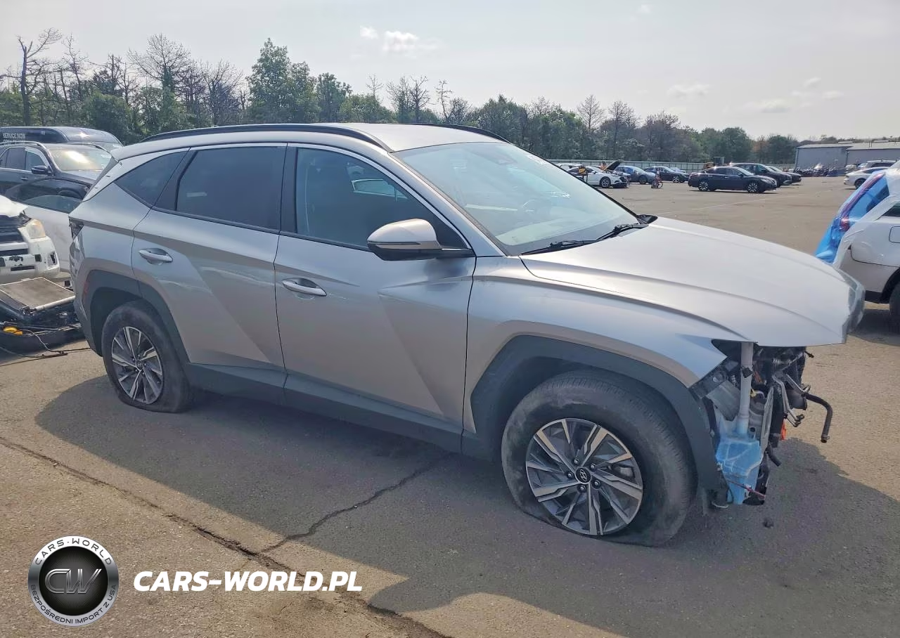 2023 Hyundai Tucson Blue VIN:KM8JBCA10PU107622 - 4