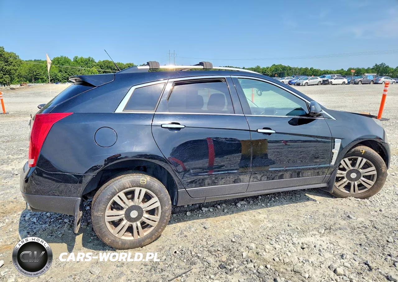 2010 Cadillac Srx Luxury Collection VIN:3GYFNDEYXAS579505 - 3