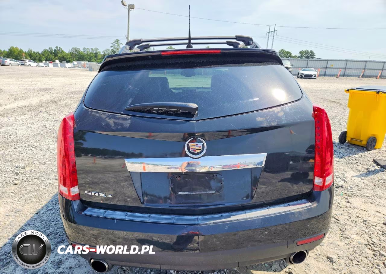 2010 Cadillac Srx Luxury Collection VIN:3GYFNDEYXAS579505 - 6