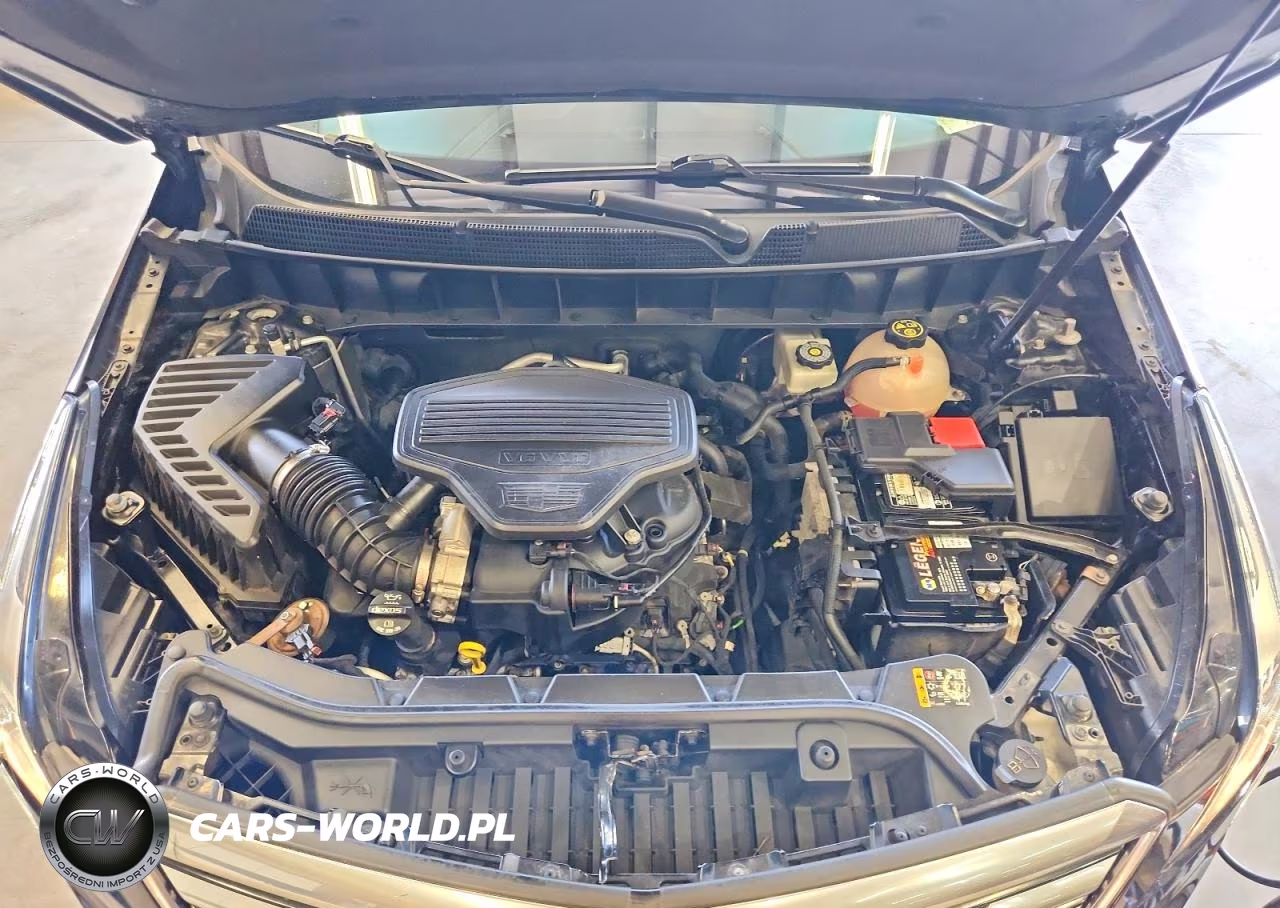 2018 Cadillac Xt5 VIN:1GYKNARS2JZ172901 - 12