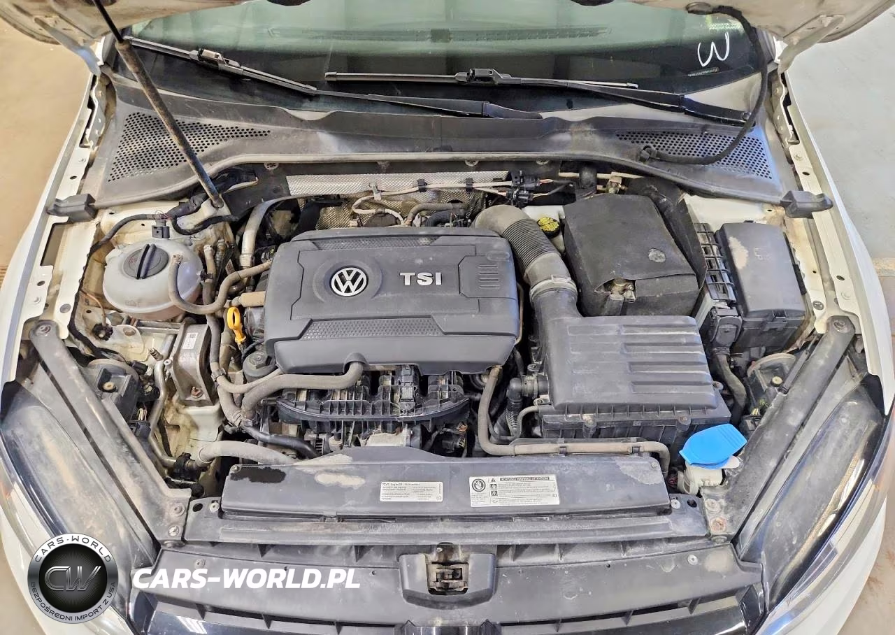 2017 Volkswagen Golf Sportwagen S VIN:3VW017AU9HM520159 - 12