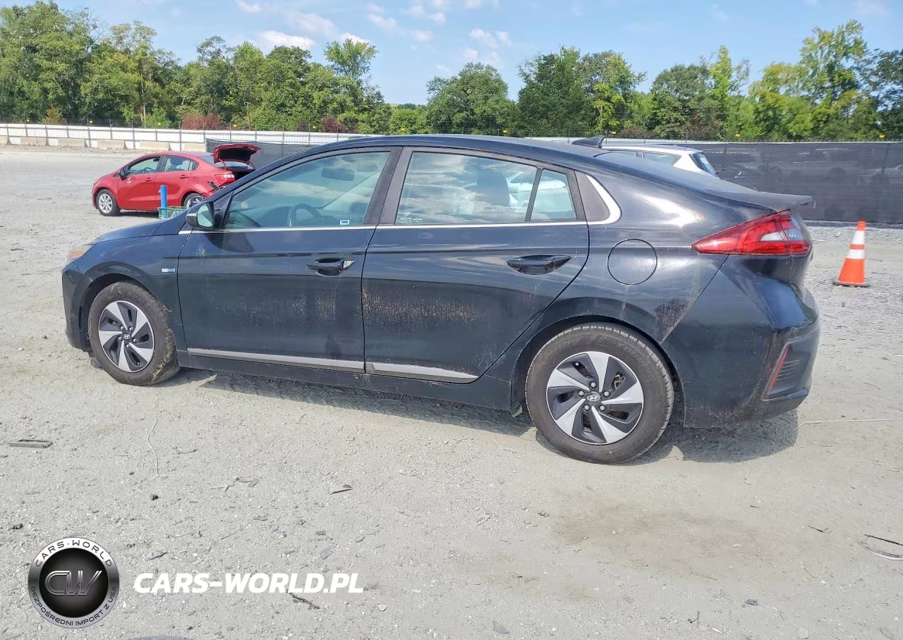 2017 Hyundai Ioniq Sel VIN:KMHC75LC0HU036816 - 2