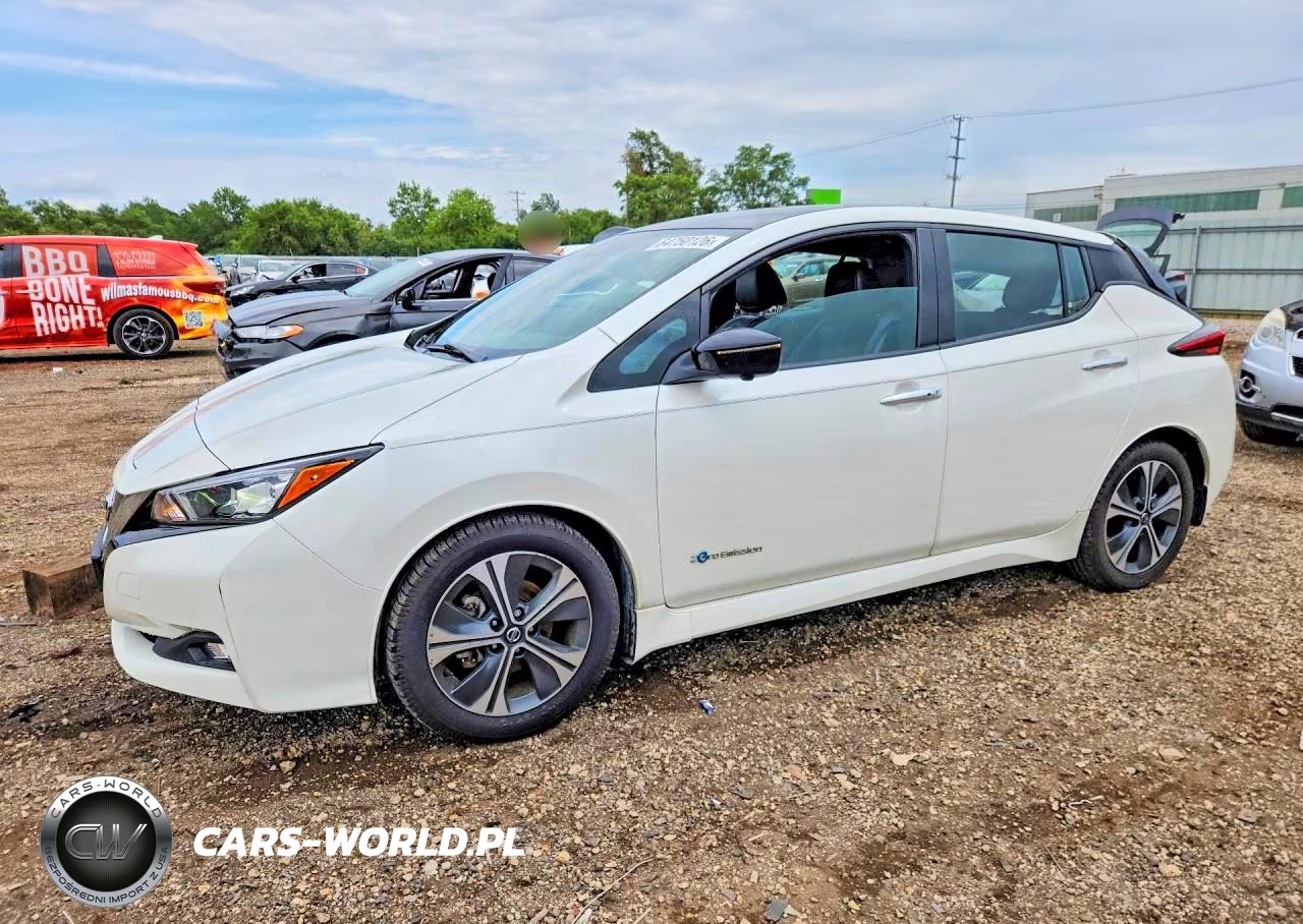 2019 Nissan Leaf Sl