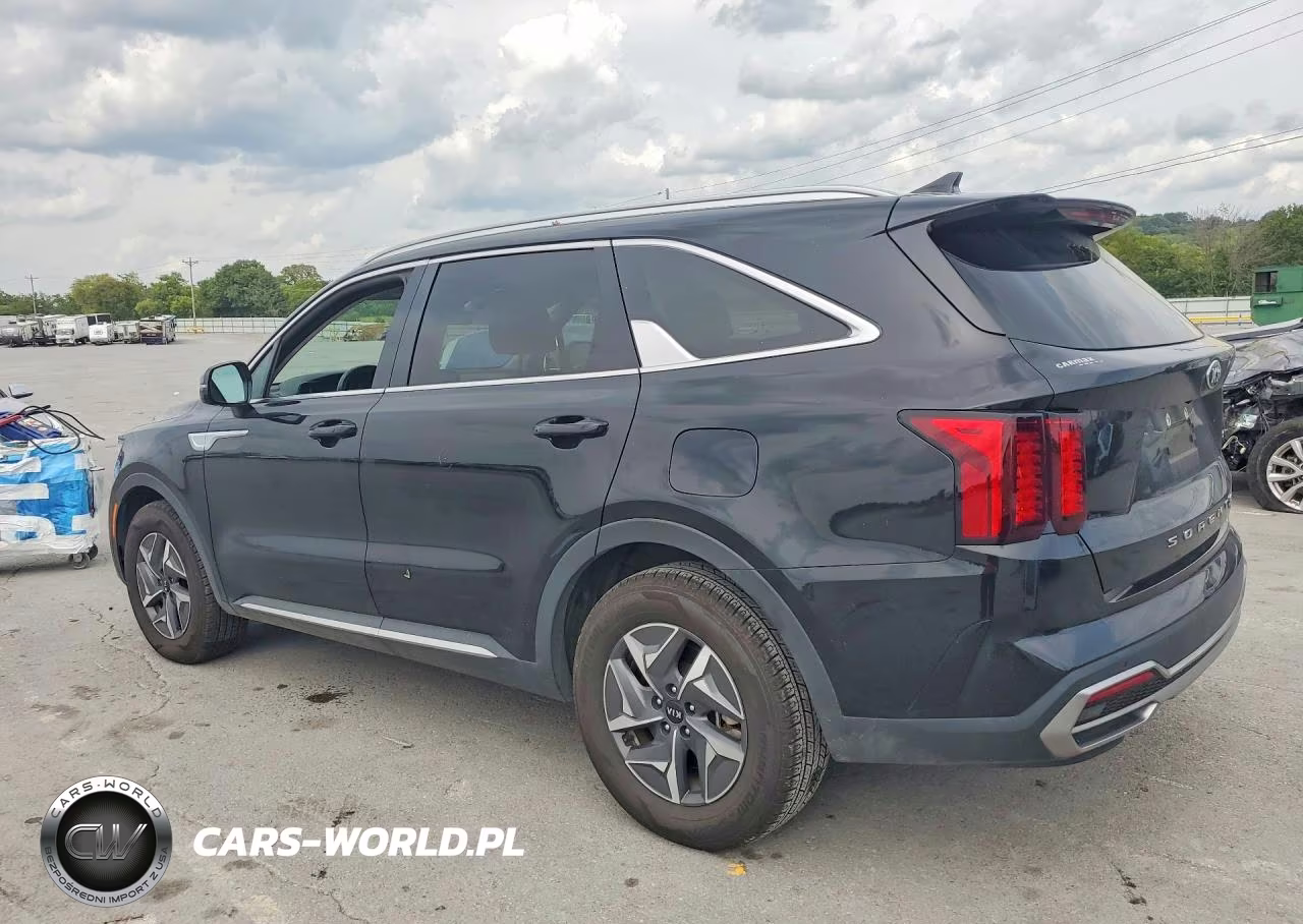 2021 Kia Sorento S VIN:KNDRG4LG2M5033688 - 2