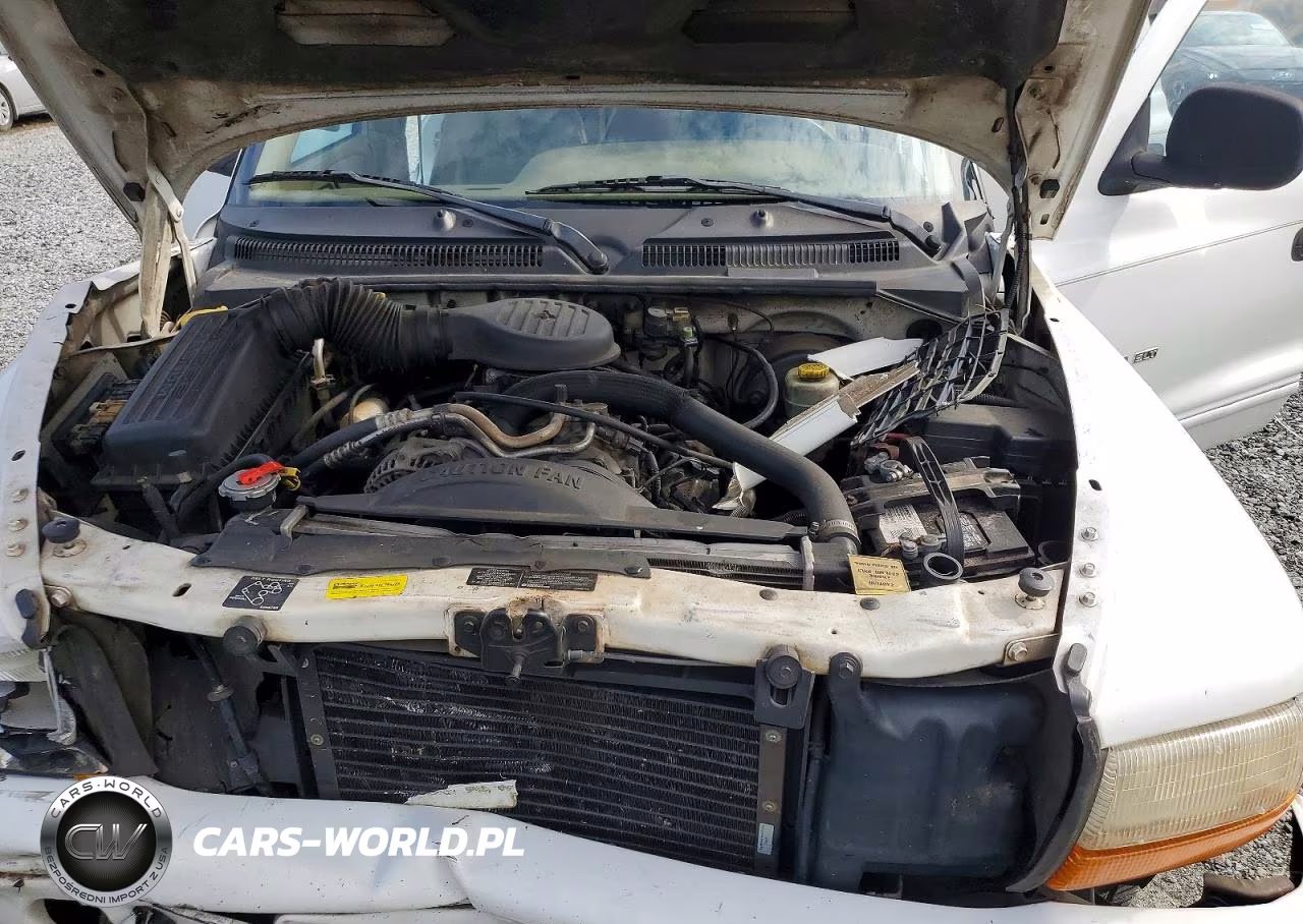 1999 Dodge Durango VIN:1B4HS28Z8XF649481 - 12