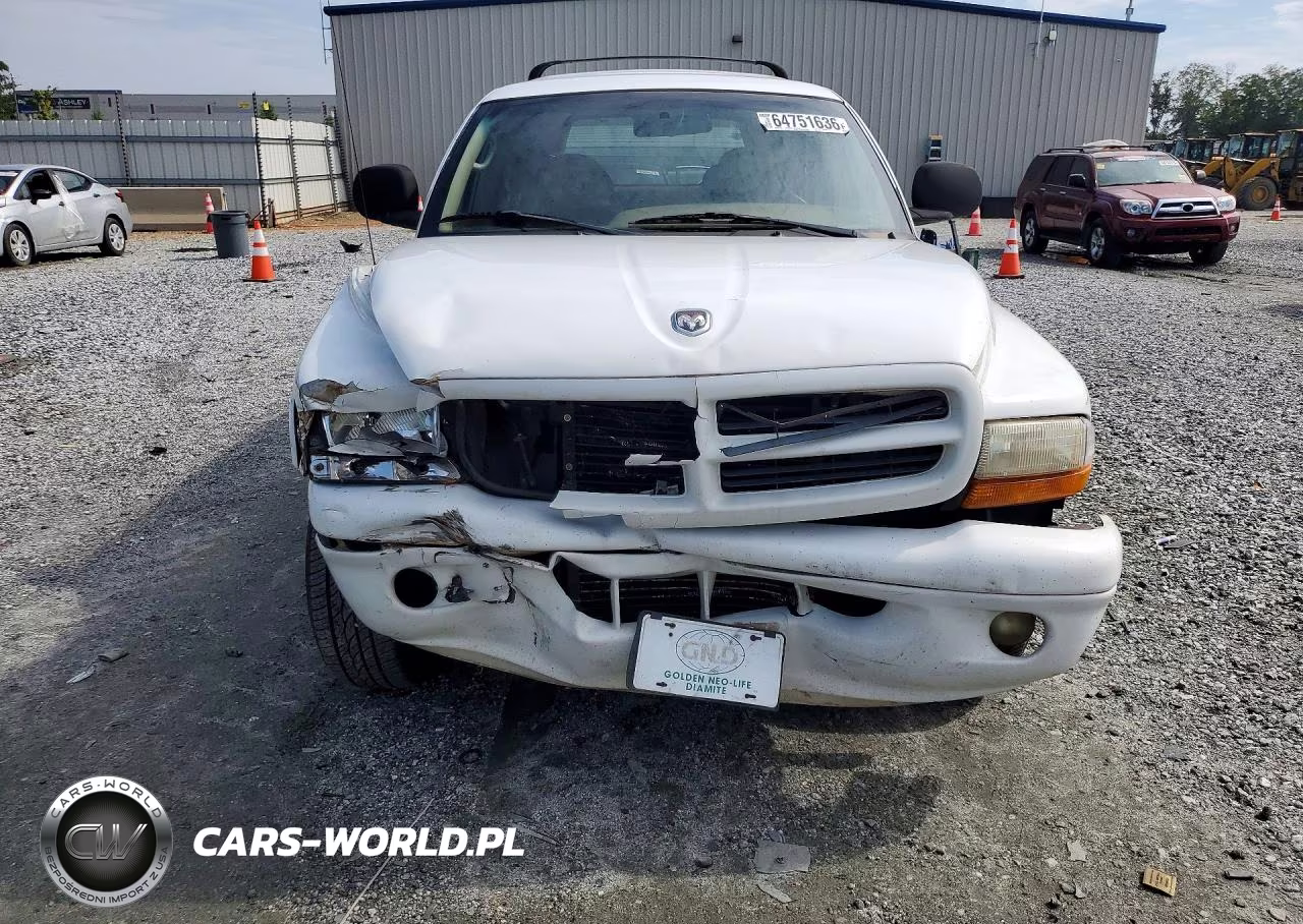 1999 Dodge Durango VIN:1B4HS28Z8XF649481 - 5