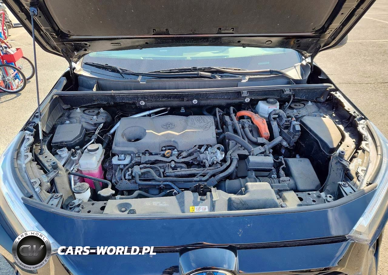 2024 Toyota Rav4 Le VIN:2T3LWRFV3RW215030 - 12