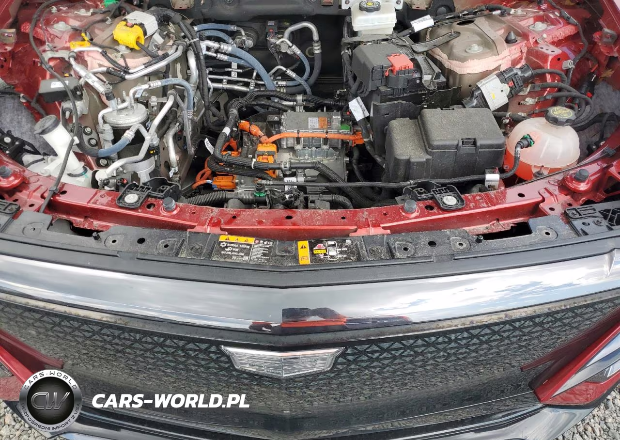 2025 Cadillac Lyriq Sport VIN:1GYKPYRKXSZ310964 - 12