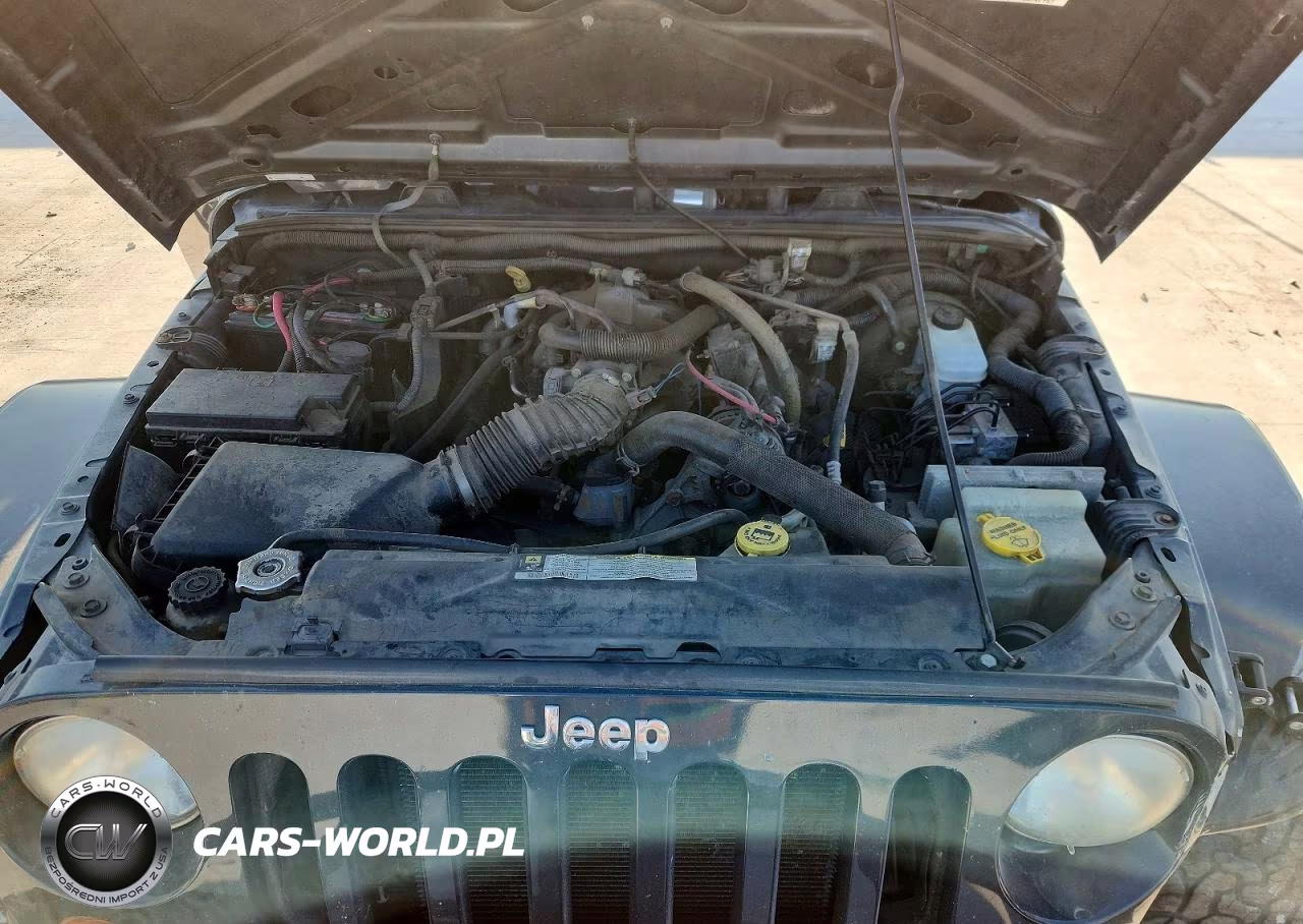 2007 Jeep Wrangler Rubicon VIN:1J8GA64107L198789 - 12