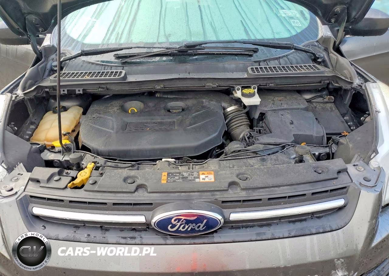 2016 Ford Escape Se VIN:1FMCU9G92GUA22817 - 12