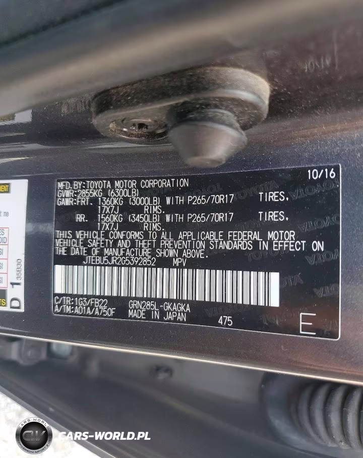 2016 Toyota 4Runner Sr5 VIN:JTEBU5JR2G5392852 - 13