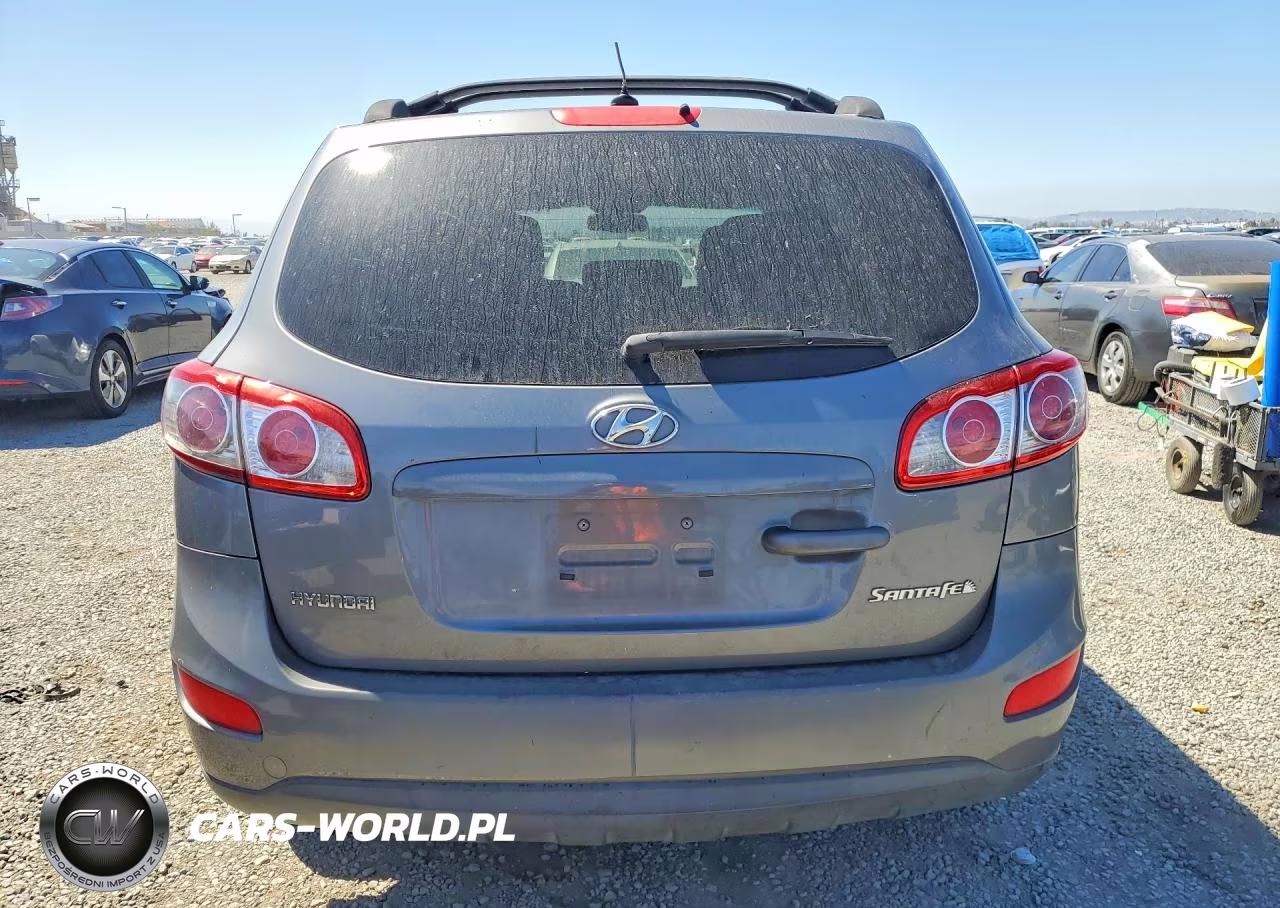 2010 Hyundai Santa Fe Gls VIN:5NMSG3AB7AH403304 - 6