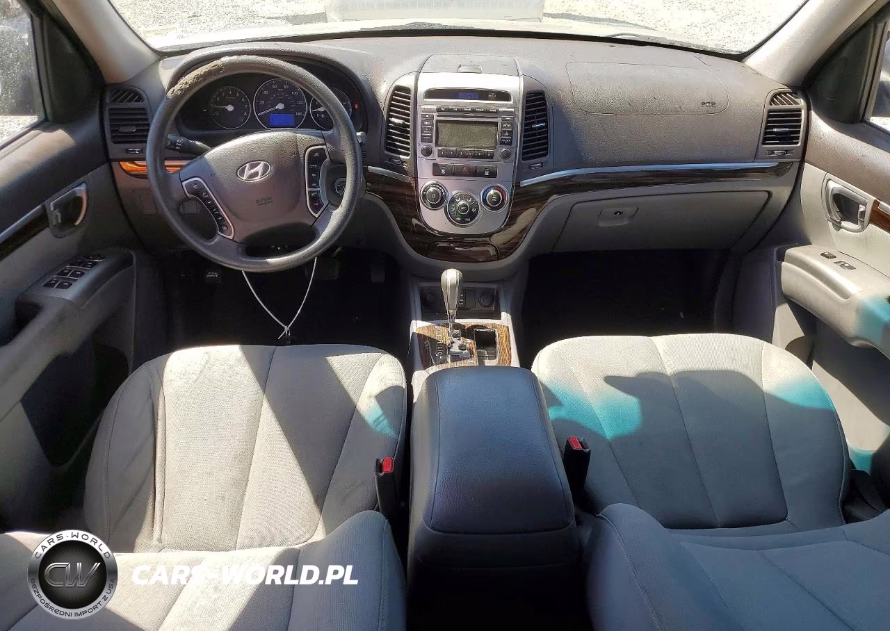 2010 Hyundai Santa Fe Gls VIN:5NMSG3AB7AH403304 - 8