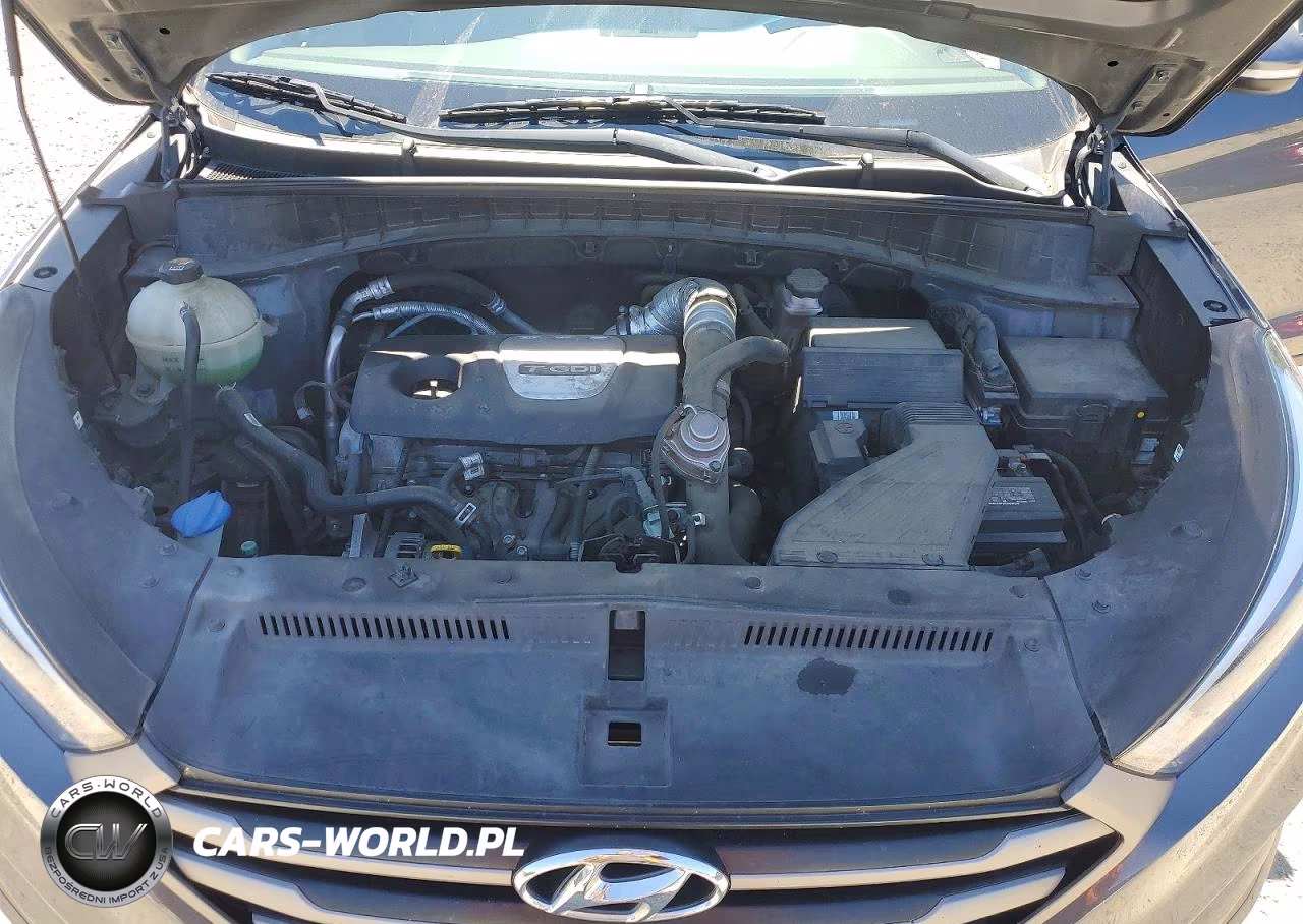 2016 Hyundai Tucson Eco VIN:KM8J33A20GU029025 - 12