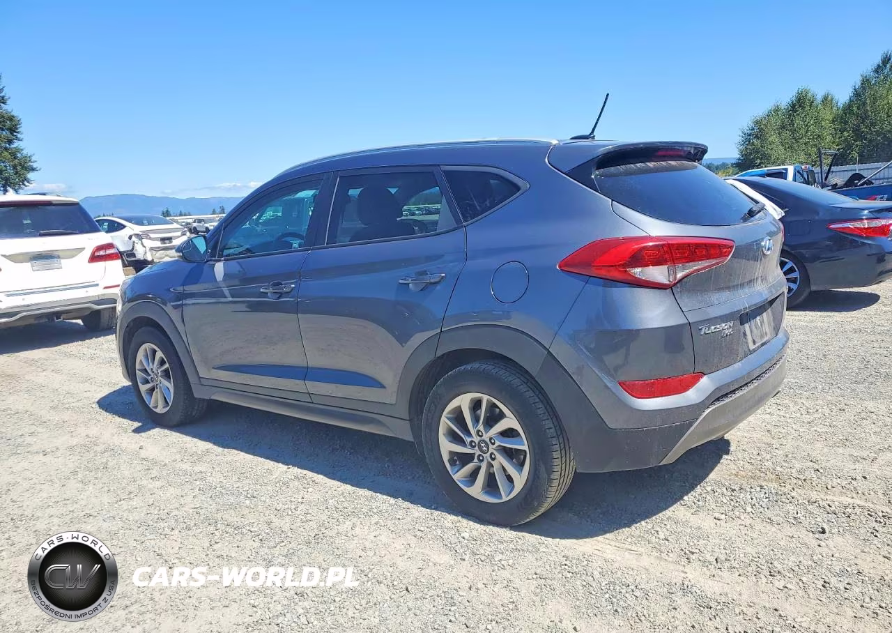 2016 Hyundai Tucson Eco VIN:KM8J33A20GU029025 - 2