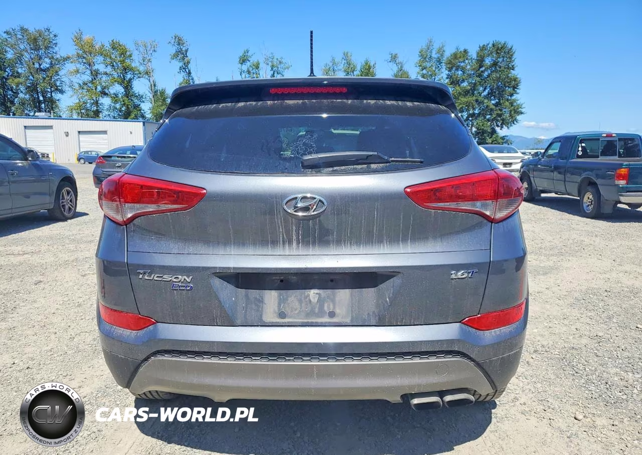 2016 Hyundai Tucson Eco VIN:KM8J33A20GU029025 - 6