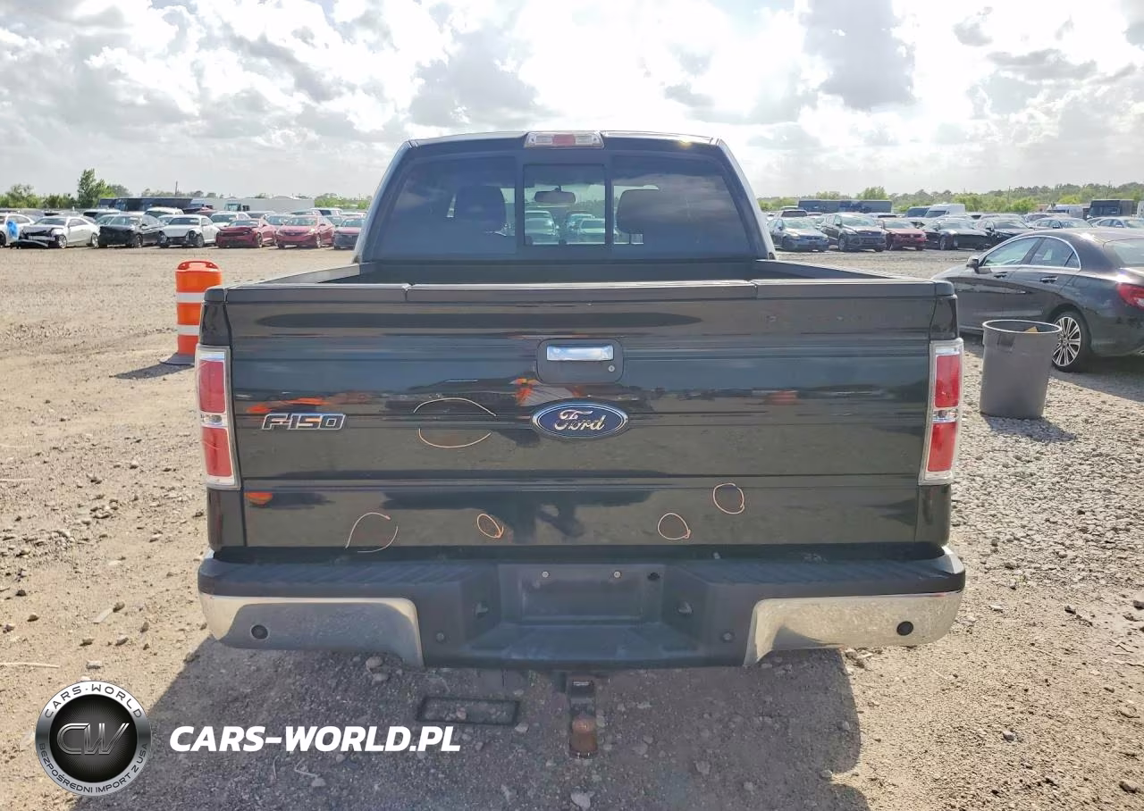 2009 Ford F150 Supercrew VIN:1FTRW12839FA40839 - 6