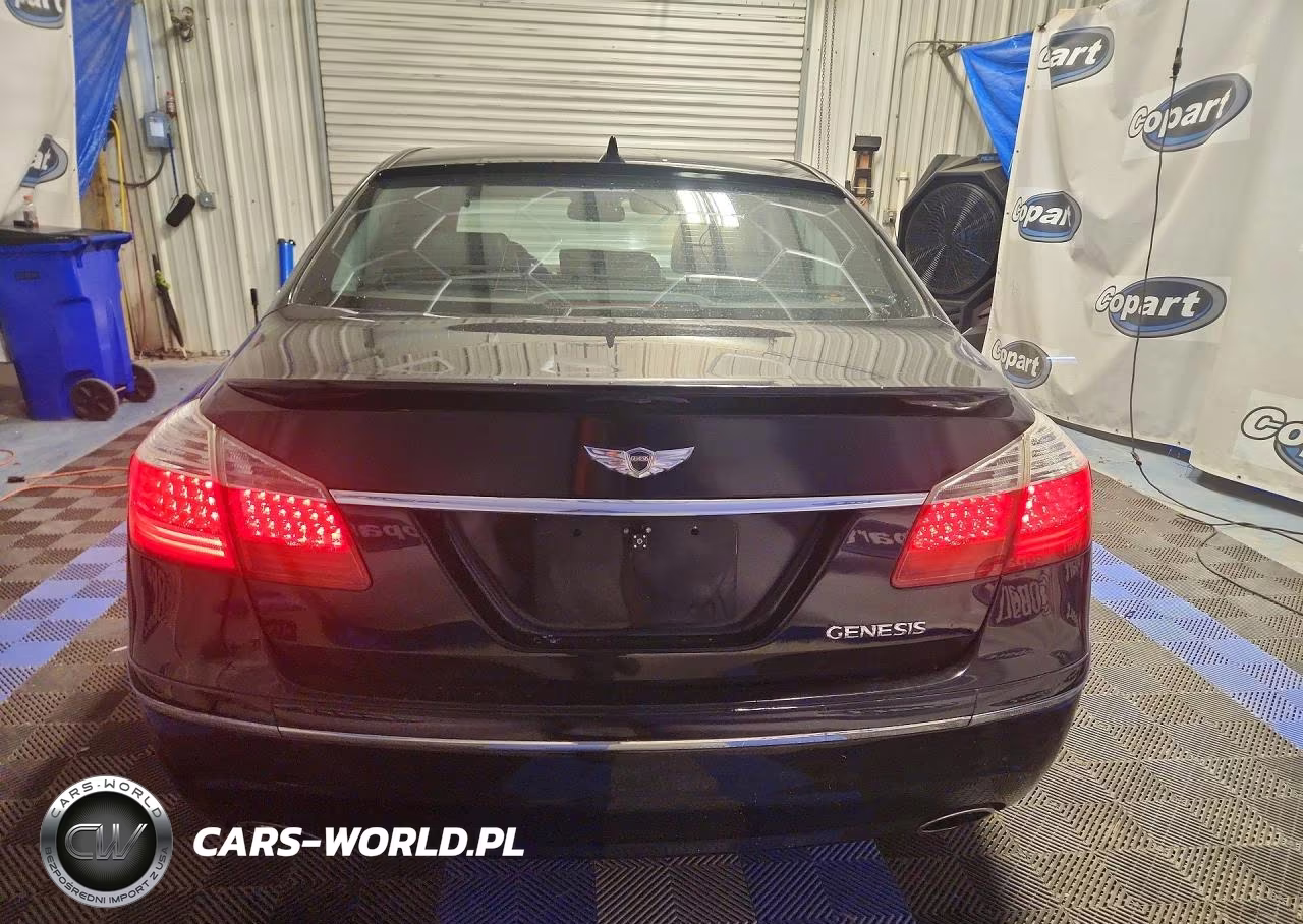 2009 Hyundai Genesis 3.8L VIN:KMHGC46E09U039754 - 6