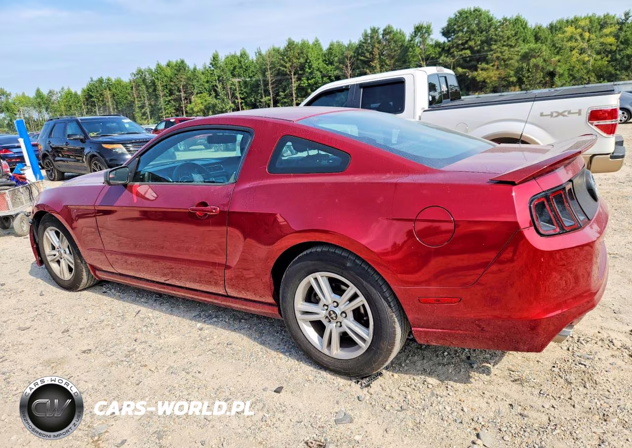 2014 Ford Mustang VIN:1ZVBP8AM4E5276631 - 2
